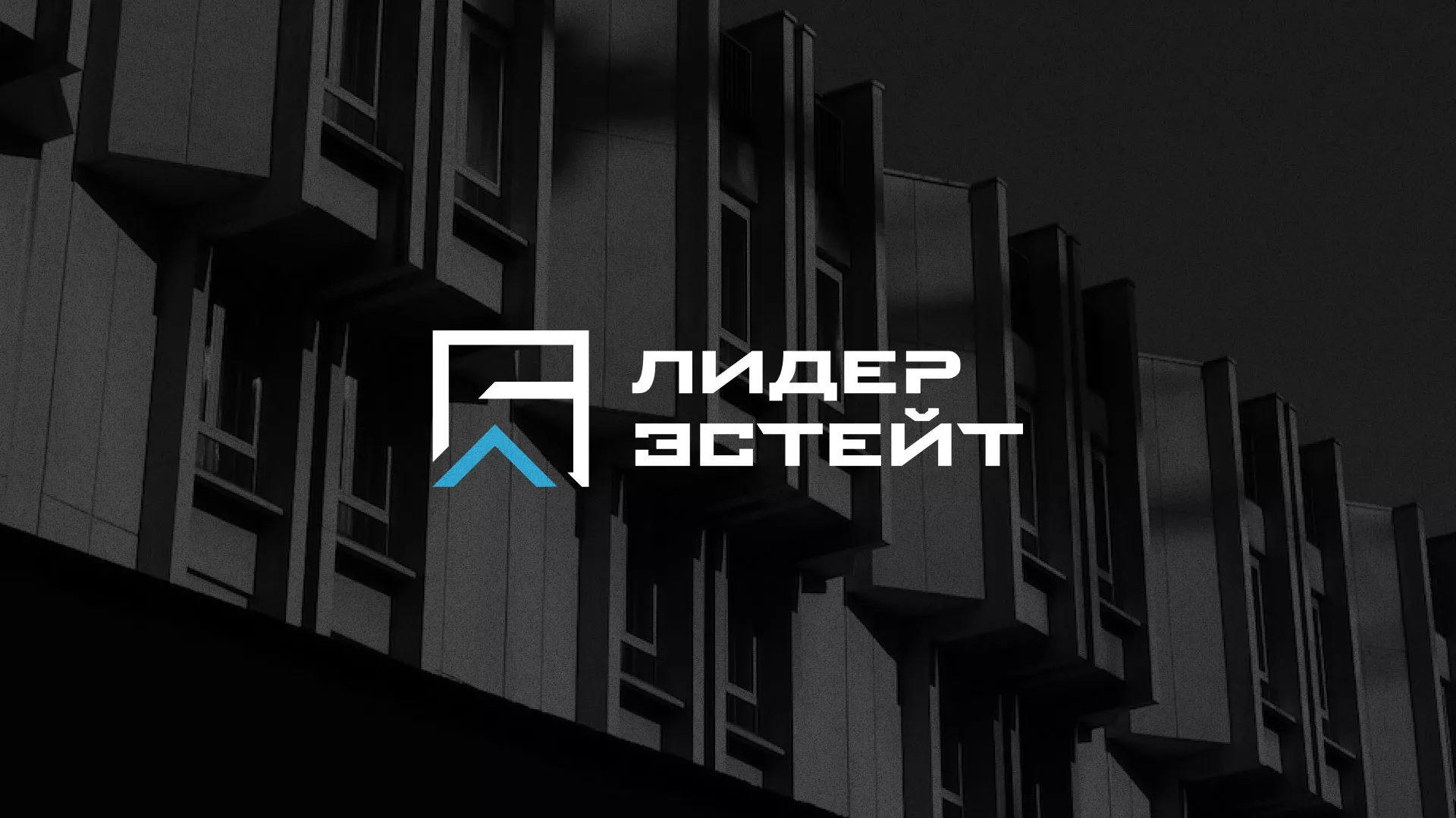 Разработка логотипа агентства недвижимости «Лидер Эстейт» в Костроме